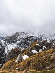 My pets are all amaz