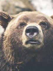 lt;Marry at first si