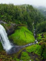 Lu Wanwan Li Jingche