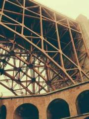 Two Treasures Arrive