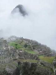 The Realm of the Dao