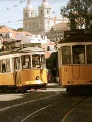 Lu Zongapos;s Hidden