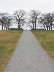 Bones-Eating Marriag