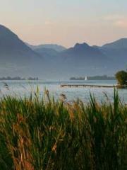 Lu Wanwan Li Jingche