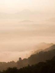 lt;Natural Disasters