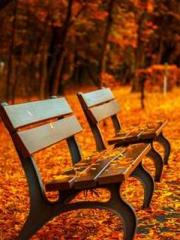 The Ugly Womanapos;s