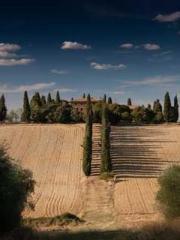 Ling Hao Qin Yuxin R