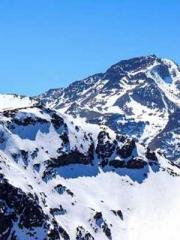 lt;lt;All in, my dec