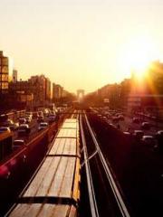 My seven stunning an