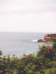 Su He Huo Chen Xi Fu