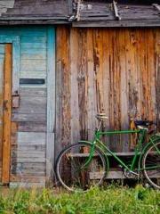 The Heavenly Physici