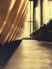 Rebirth as a Court A