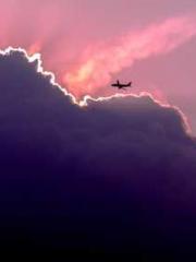 Peninsula Asteroid l