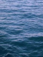 Shen Ning Ran Bo Jin